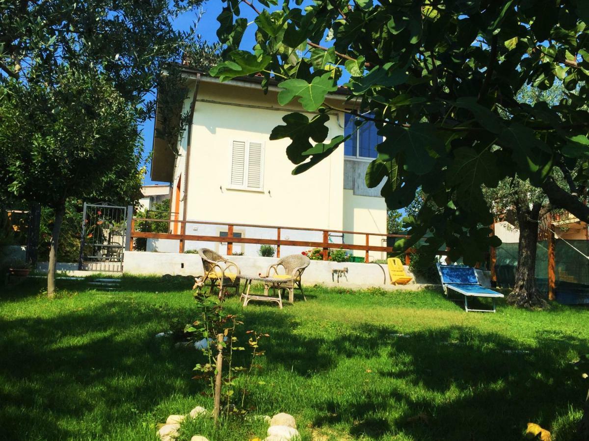 Il Gruccione Bed and Breakfast Sant'Omero Εξωτερικό φωτογραφία