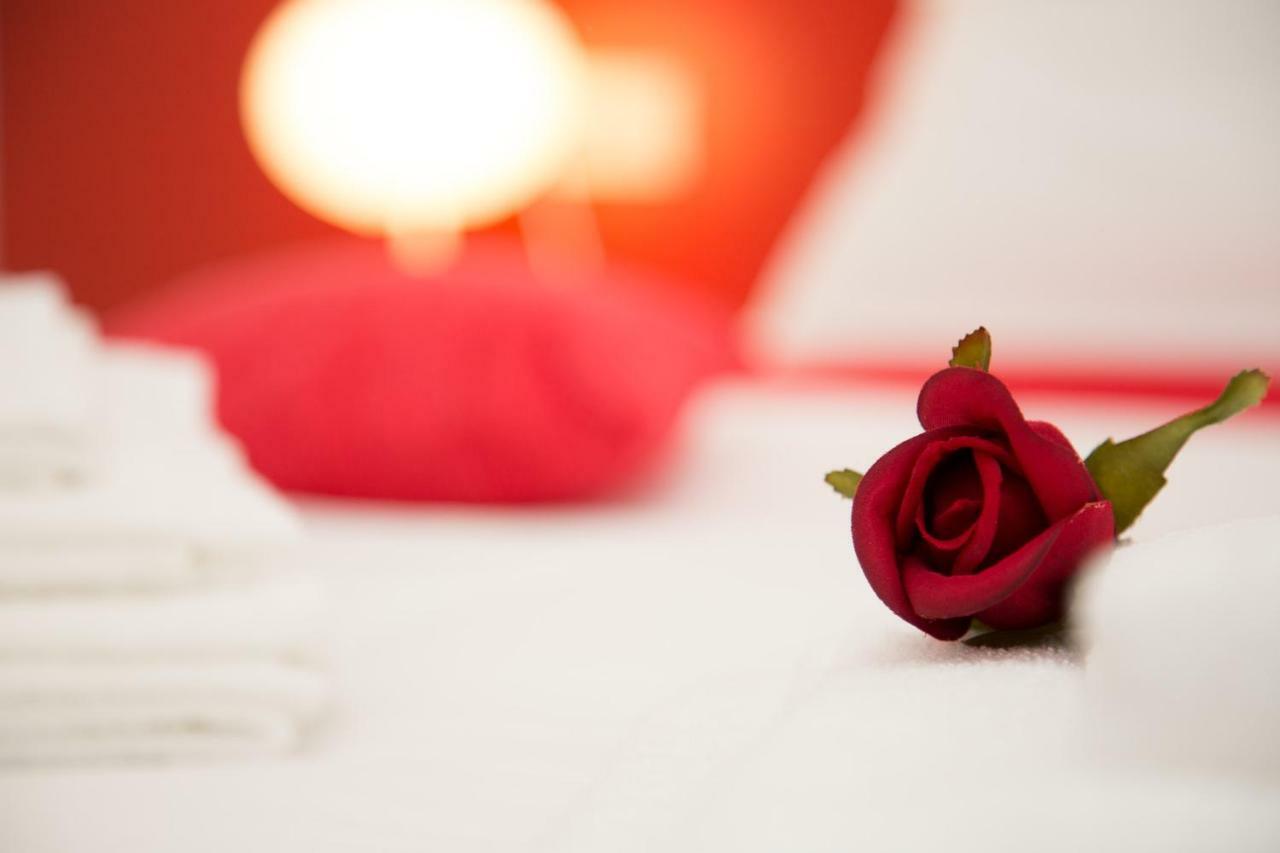 Il Gruccione Bed and Breakfast Sant'Omero Εξωτερικό φωτογραφία